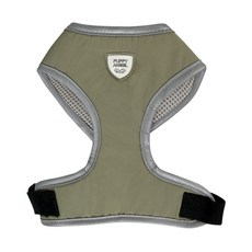 퍼피엔젤안지오네