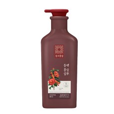 동의홍삼 손상모 동백홍삼 샴푸, 1개, 500ml