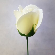 aeab9846-4a7f-49a3-a26e-f1139b0c5c58.jpg