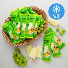 빙그레 카카오 무지바 (냉동), 70ml, 40개