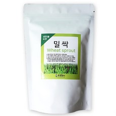 세경팜 밀싹 씨앗 1kg, 1개
