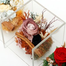 wonderfuldb-3226drybox