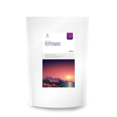 닥터루트 페퍼민트차 삼각티백, 1.2g, 100개