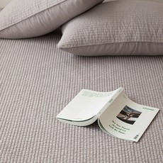 이브정원피그먼트