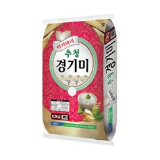 농협 용인 추청 경기미, 10kg, 1개