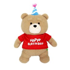 생일 축하 꼬깔모자 19곰 테드 봉제인형, 30cm, 혼합색상