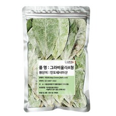 자연초 그라비올라 A형, 300g, 1개