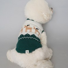 바이담수미 강아지 루돌프 니트, 그린