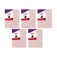 아트메이트 캔버스 컬러 F형 핑크 5p, 면천