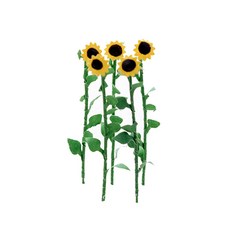 FORES 向日葵西洋鏡成分小 5p, 混色