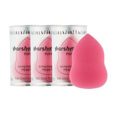 투쿨포스쿨스펀지