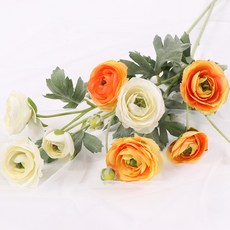 85ff81b4-a268-41d0-9ab5-476da16da46f.jpg