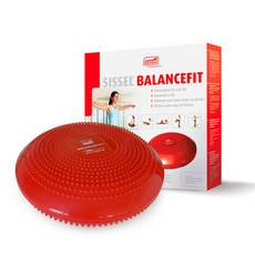 밸런스온허리쿠션