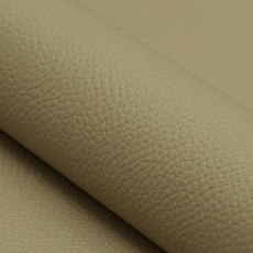 차량용레자원단