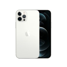 Apple 아이폰 12 Pro, 공기계, Silver, 256GB
