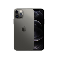 Apple 아이폰 12 Pro, 공기계, Graphite, 256GB