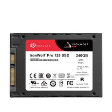 씨게이트 Ironwolf 125 PRO SSD NAS, ZA240NX10001, 240GB