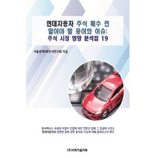 현대자동차 주식 매수 전 알아야 할 용어와 이슈: 주식 시장 영향 분석집 19, 비피기술거래