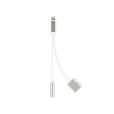 충전이어폰젠더