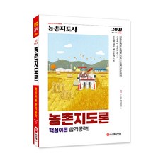 전략적농촌지도론