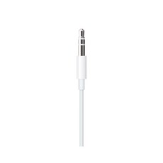 Apple 정품 Lightning to 3.5mm Audio Cable 1.2m, 화이트, 1개