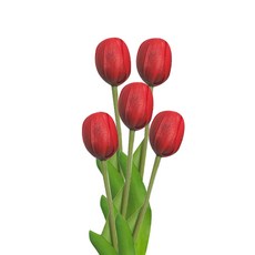 진심디자인