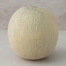 ONLYFARM 당도선별 머스크 메론, 1.8kg, 1개