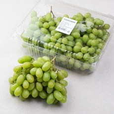 칠레 씨없는 청포도, 2.3kg, 1개