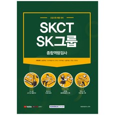 skct인적성