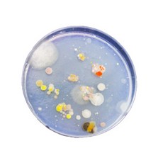 사이언스몰 일반세균 + 곰팡이균 배지 만들기 10인용 화학실험세트, 1세트