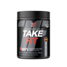 테이크핏 NWPI 초코맛 WPI 분리유청, 1개, 280g