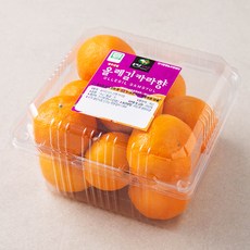올레길 GAP 인증 당도선별 카라향, 1kg, 1개