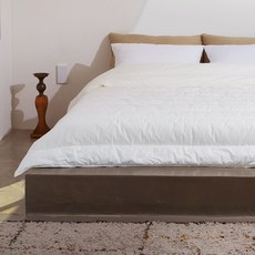 센타스타레볼루션