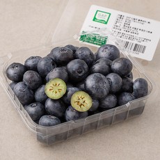푸드베이스 GAP 신칠라 블루베리 특, 200g, 1팩