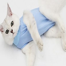 세이코코아 고양이 중성화복, 스카이블루