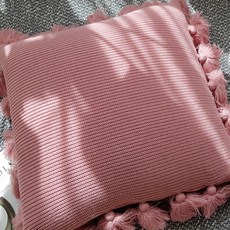 테슬쿠션