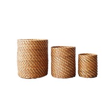 라탄이랑실랑이