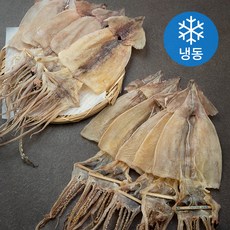 해선생 국내산 건조오징어 10미 (냉동), 375g, 1개