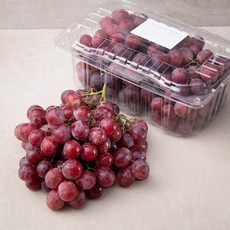 선우 칠레산 레드 글러브 포도, 2kg, 1개