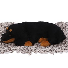 강아지인테리어