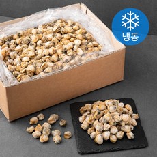 왕중왕 자숙가리비살 200~300미 (냉동), 5kg, 1개