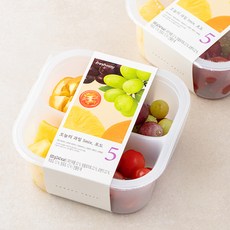 프레시지 오늘의 과일 5mix 포도, 500g, 2개