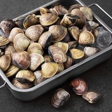 단디프레시 백합 조개 (냉장), 2kg, 1개