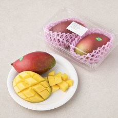 MSC 브라질 애플망고 2입, 760g, 1개