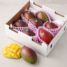 MSC 브라질 애플망고 7~9입, 3.8kg, 1개