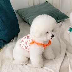 떼아몽