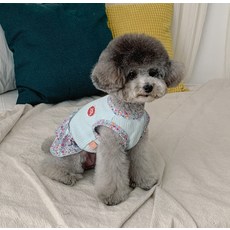 떼아몽