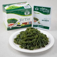 염장 바다포도, 100g, 1개