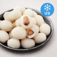 살맛나요 냉동 간편 람부탄, 750g, 1봉