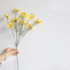 루비코코 코스모스 가지 꽃다발, 옐로우, 1개